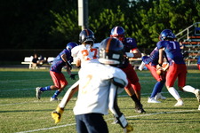 Enlarge photo 279