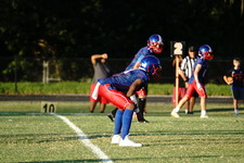 Enlarge photo 291