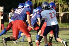 Enlarge photo 293