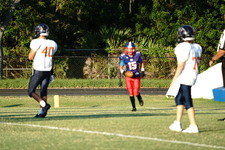 Enlarge photo 306