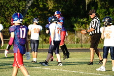 Enlarge photo 305