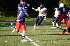 Enlarge photo 314