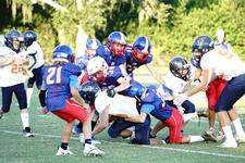 Enlarge photo 324