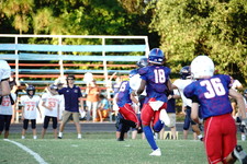 Enlarge photo 335