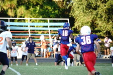 Enlarge photo 336