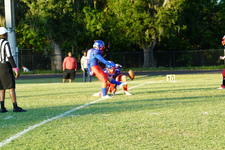 Enlarge photo 40