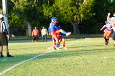 Enlarge photo 41