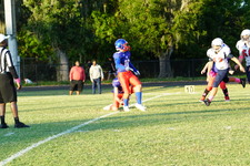 Enlarge photo 42