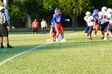 Enlarge photo 44