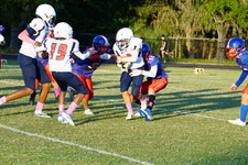 Enlarge photo 43