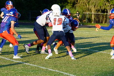 Enlarge photo 46