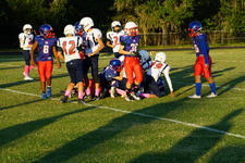 Enlarge photo 52