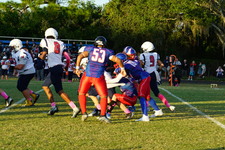 Enlarge photo 51