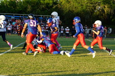 Enlarge photo 54