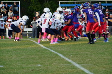 Enlarge photo 56