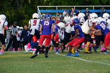 Enlarge photo 60