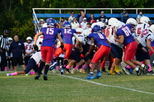 Enlarge photo 61