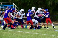 Enlarge photo 62