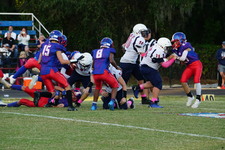 Enlarge photo 64