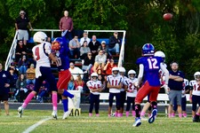 Enlarge photo 65