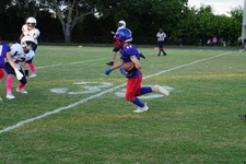 Enlarge photo 81