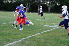 Enlarge photo 82