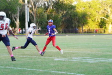 Enlarge photo 93