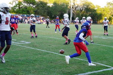 Enlarge photo 96