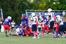 Enlarge photo 113