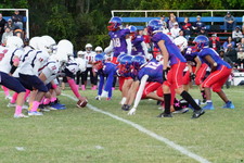 Enlarge photo 114