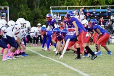 Enlarge photo 115