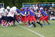 Enlarge photo 117