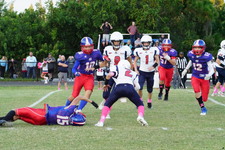 Enlarge photo 124