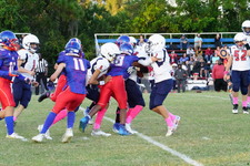 Enlarge photo 126