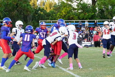 Enlarge photo 125