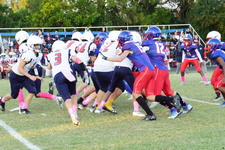 Enlarge photo 130