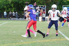 Enlarge photo 133