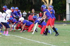 Enlarge photo 135