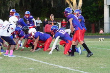Enlarge photo 137