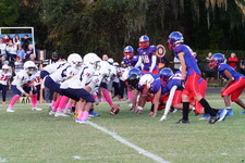Enlarge photo 140