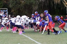Enlarge photo 141