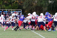 Enlarge photo 143
