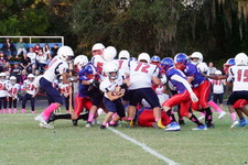 Enlarge photo 144