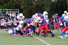 Enlarge photo 147
