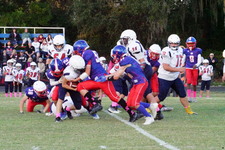 Enlarge photo 148