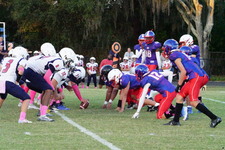 Enlarge photo 150