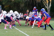 Enlarge photo 149