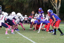 Enlarge photo 152