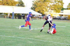 Enlarge photo 153