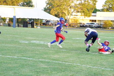 Enlarge photo 154